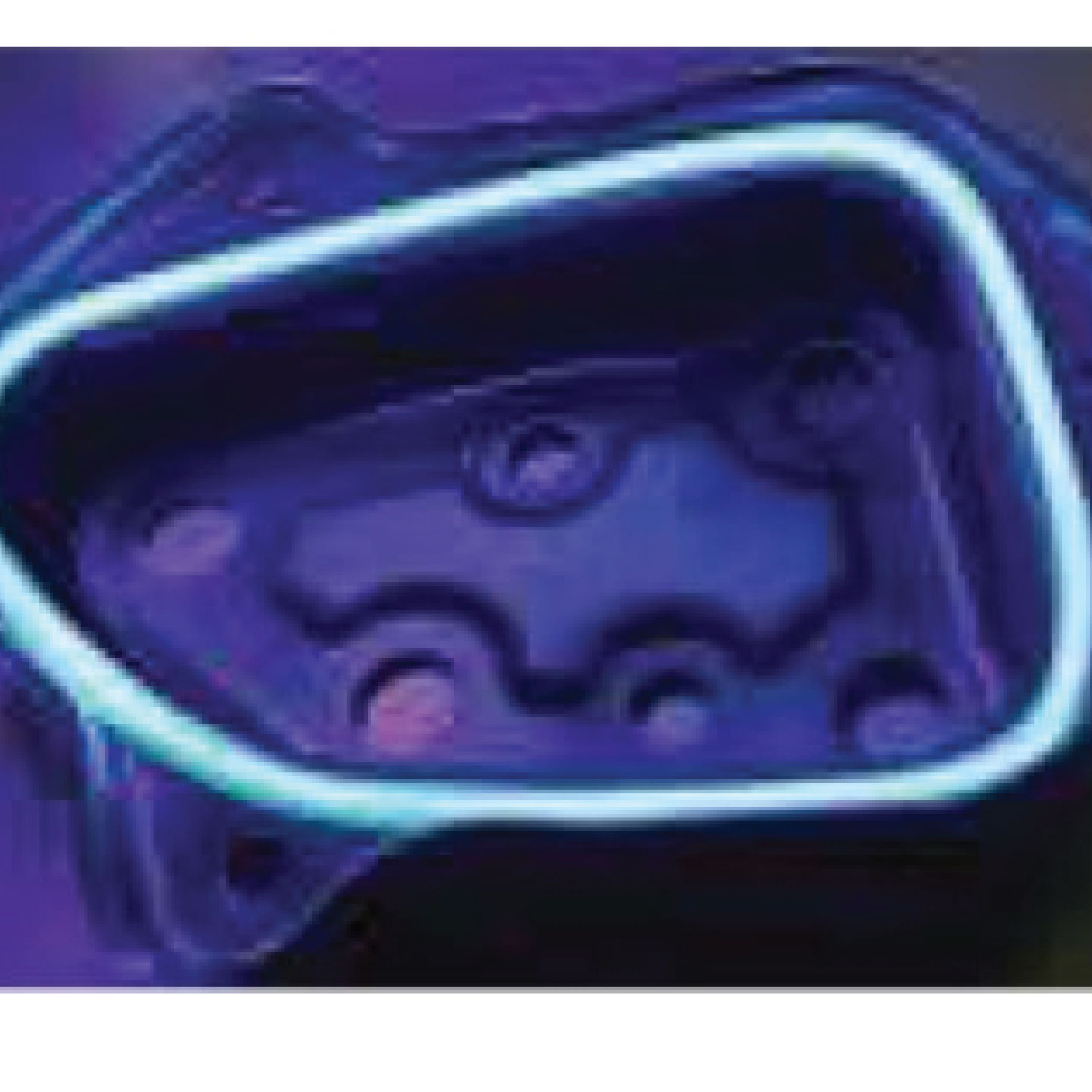 applications home page-02